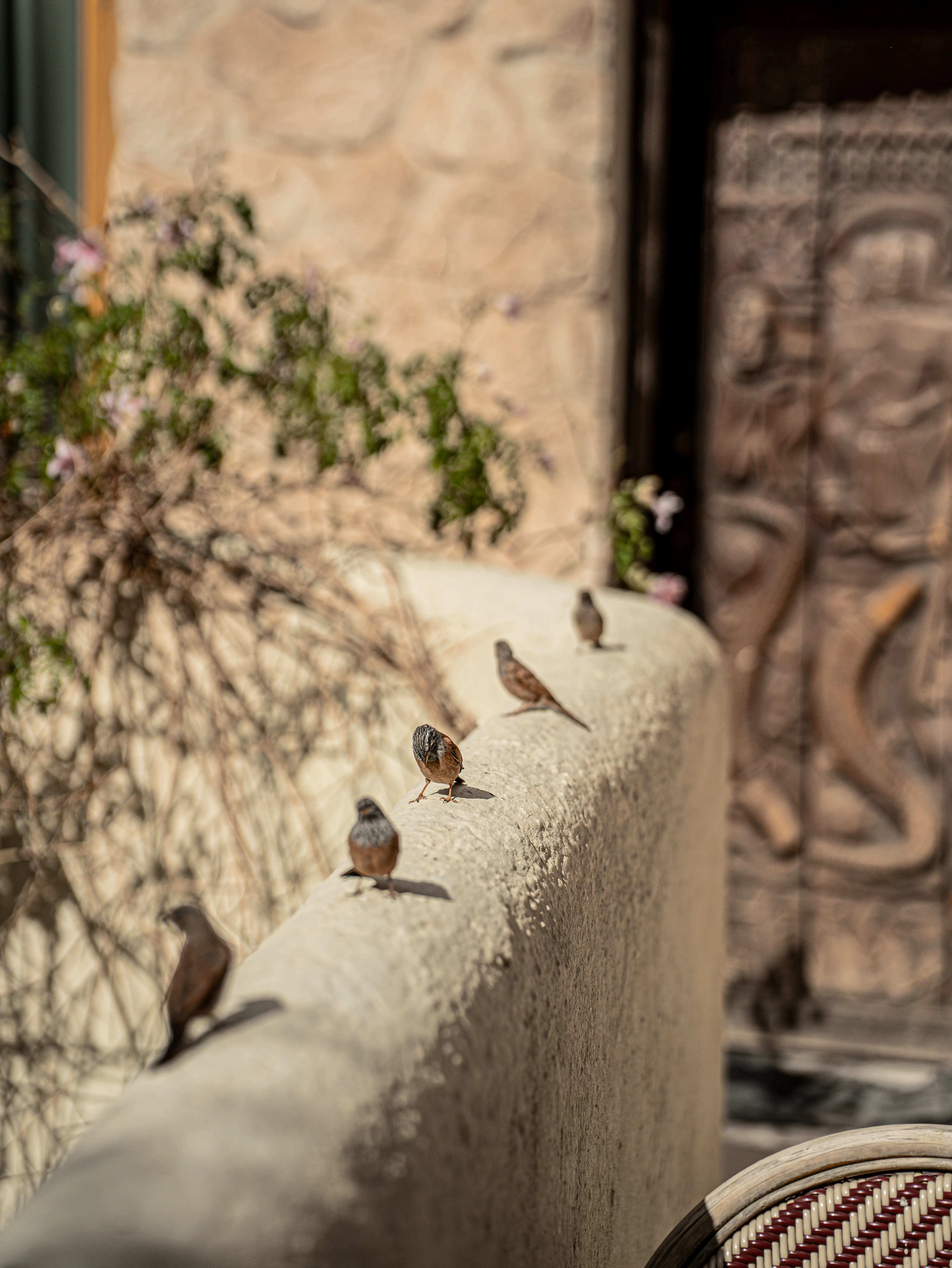 Serene rooftop terrace at Pure House Marrakech where guests enjoy quiet mornings and the charm of the Medina